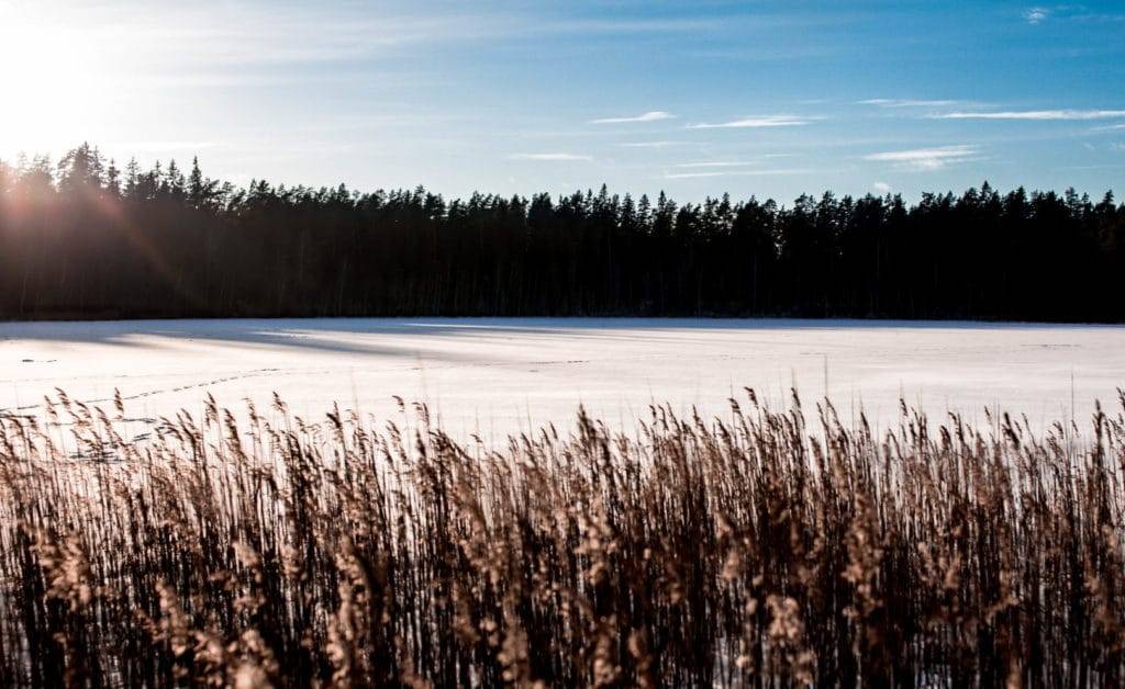 Eesti Vabariigi iseseisvuspäev 2017