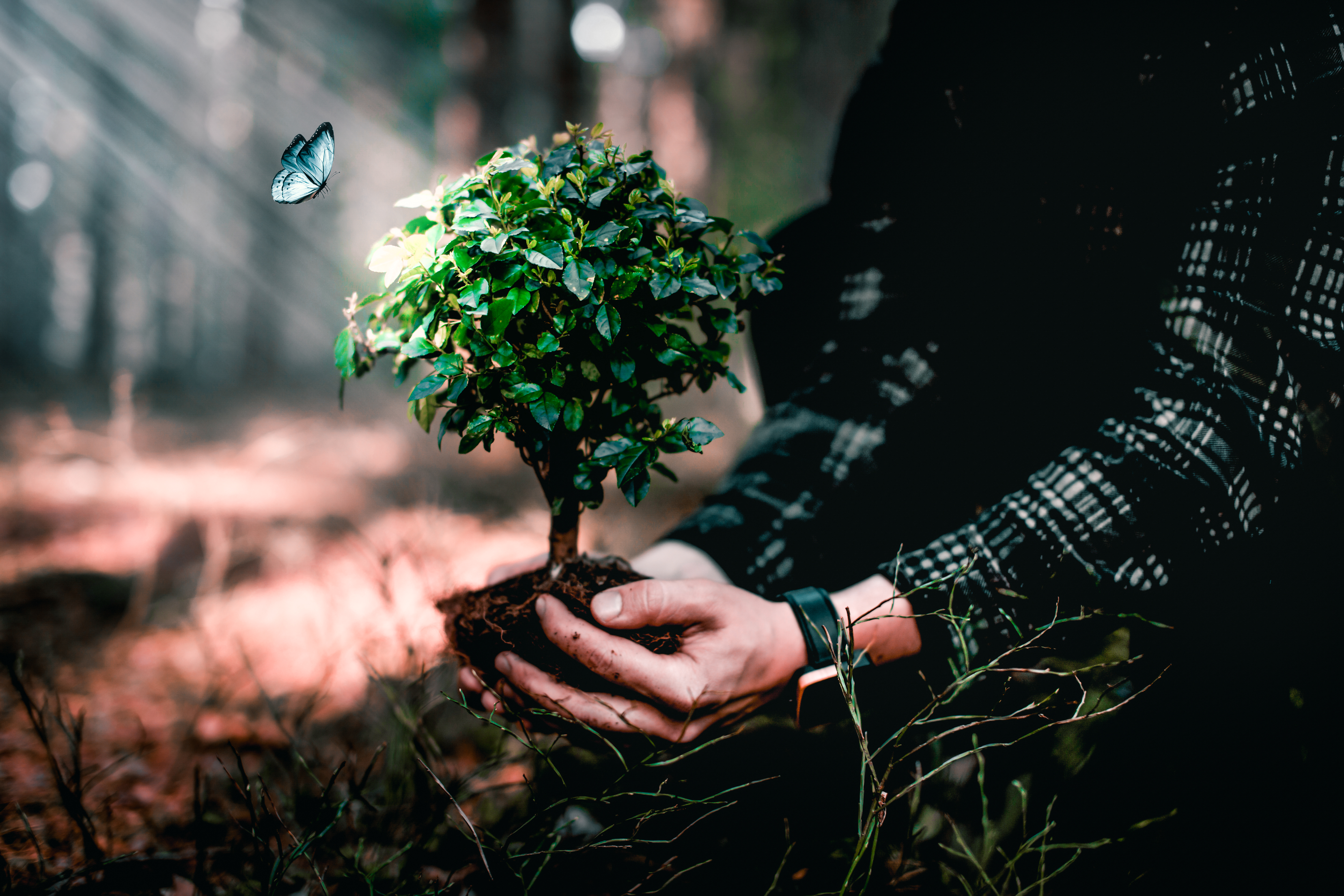 Man holding plant in his hands - by Prosawood