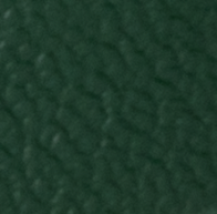 Forest nahk